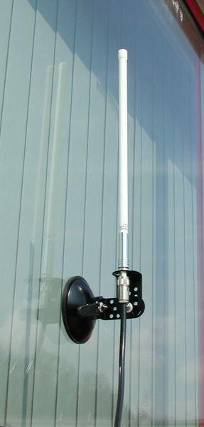 Grosser Saugnapfhalter